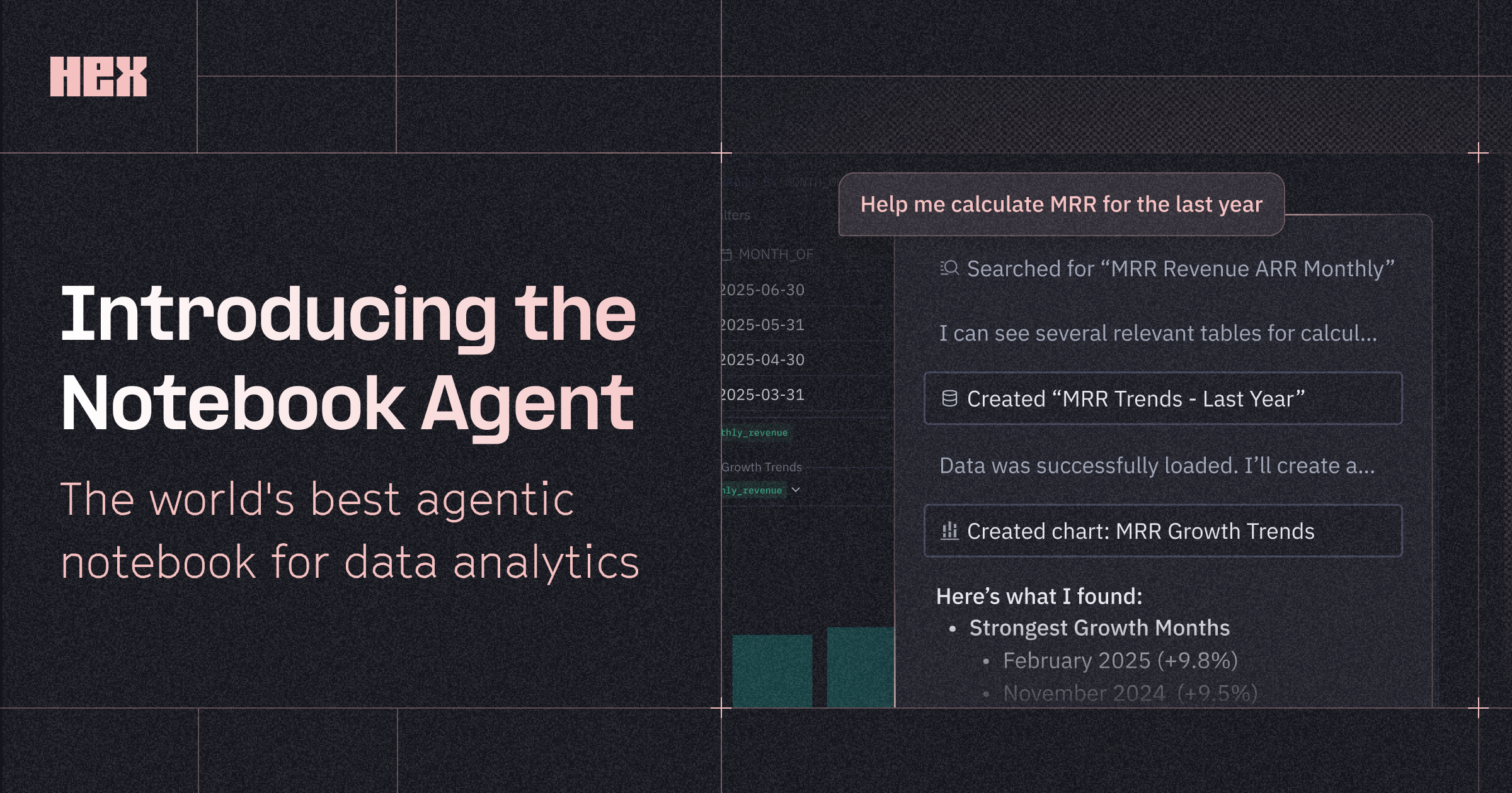 Hex Notebook Agent