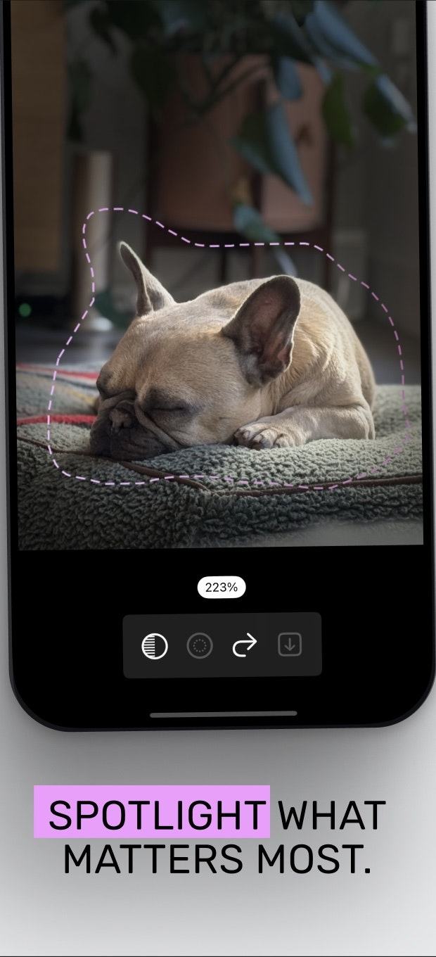 Snaplight for iOS and Mac