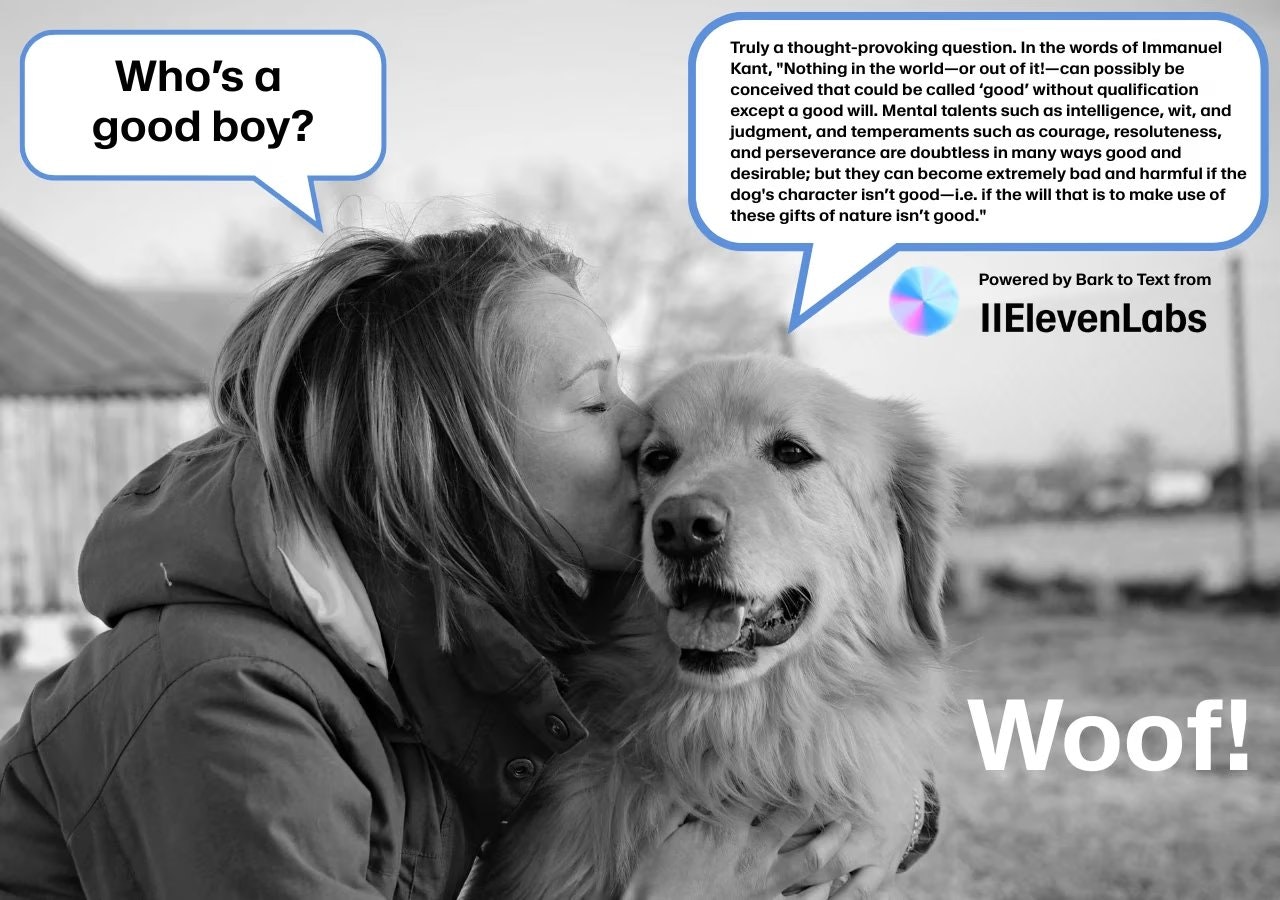 ElevenLabs Text to Bark